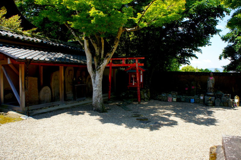 新薬師寺(2015/05/21)