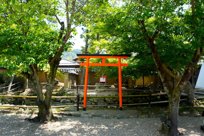 新薬師寺(2015/05/21)