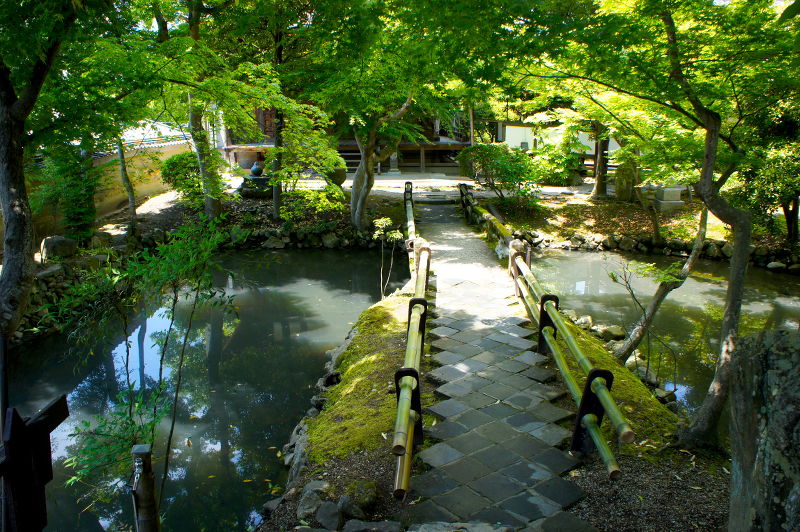 新薬師寺(2015/05/21)