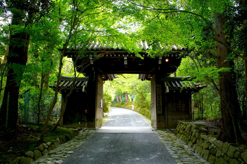 赤山禅院(2015/06/02)