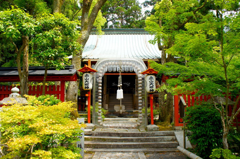 赤山禅院(2015/06/02)