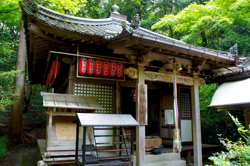 赤山禅院(2015/06/02)