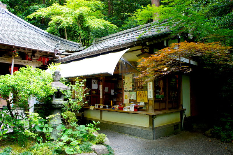 赤山禅院(2015/06/02)