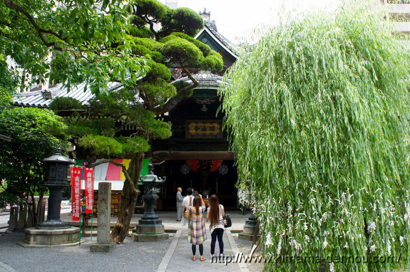 頂法寺 六角堂(2015/06/02)