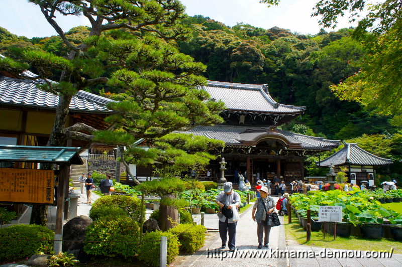 三室戸寺(2015/06/10)