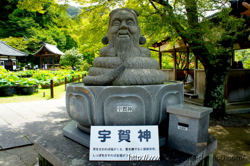 三室戸寺(2015/06/10)