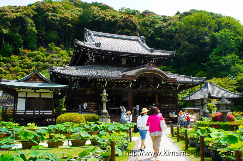 三室戸寺(2015/06/10)