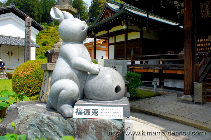 三室戸寺(2015/06/10)