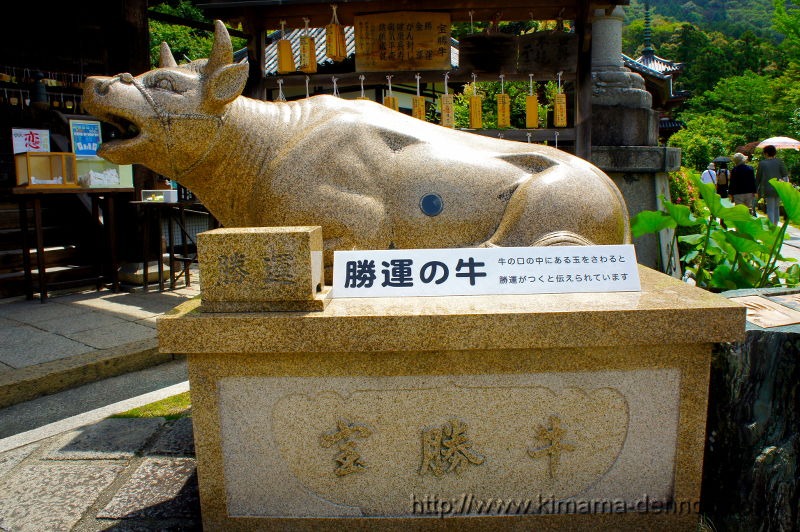 三室戸寺(2015/06/10)