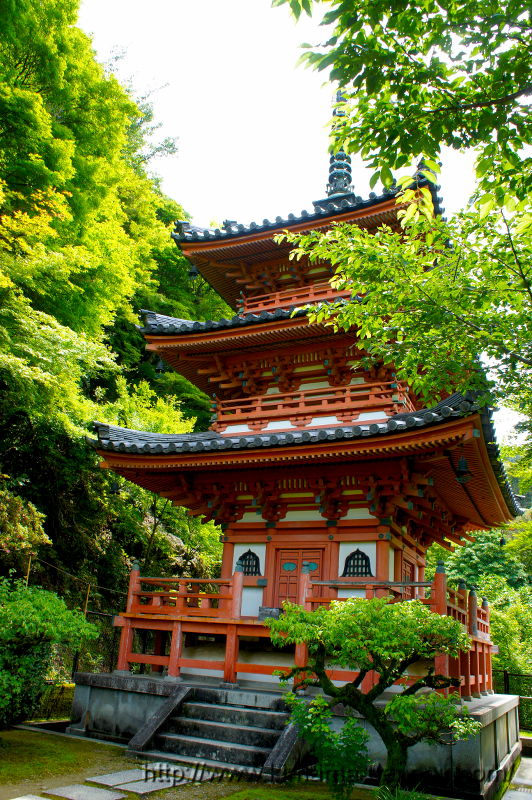 三室戸寺(2015/06/10)