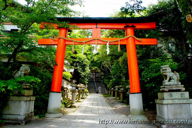 宇治神社(2015/06/10)