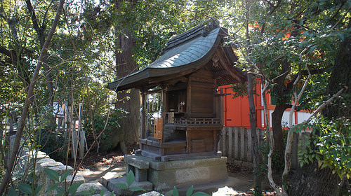 DSC03671