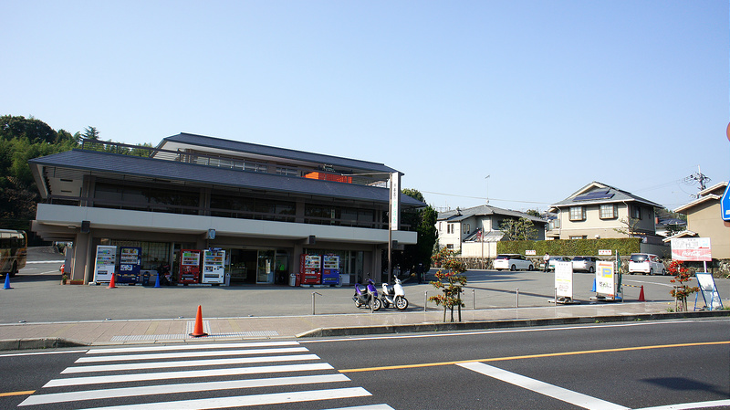 01 DSC03768