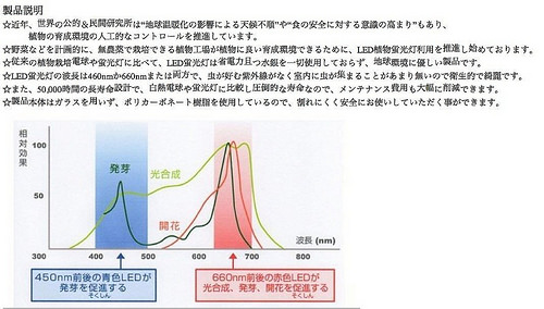 赤いLED電球（説明）