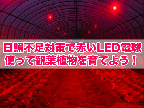 赤いLED電球（title）