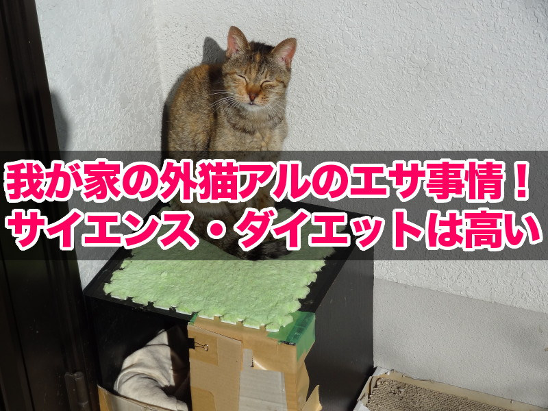 外猫アルのエサ事情