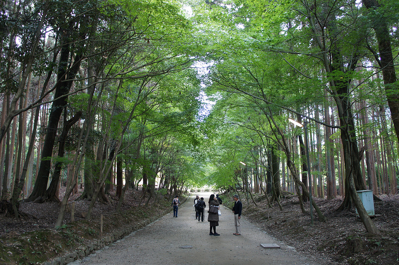 醍醐寺（下醍醐） 参道