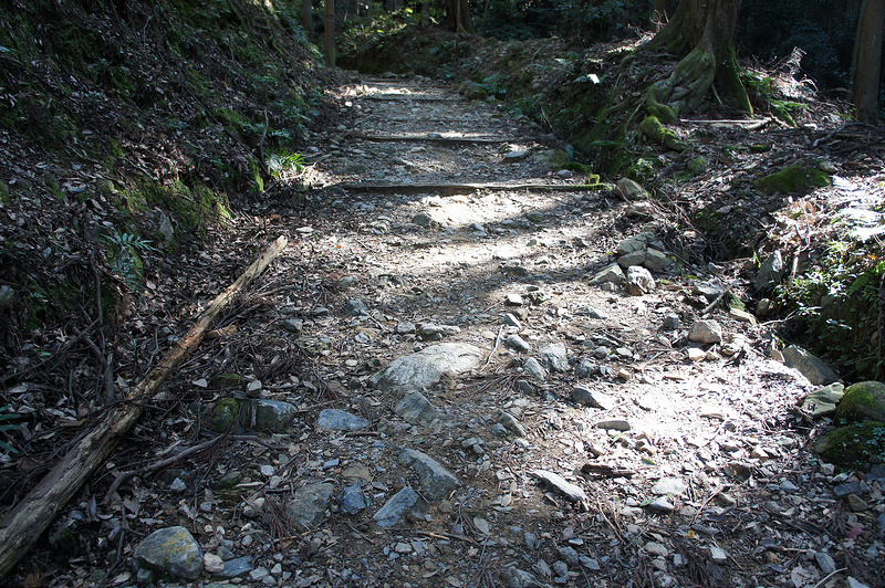 醍醐寺（上醍醐） 山道