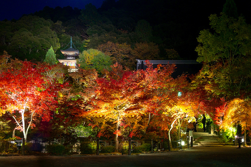 紅葉- 永観堂禅林寺 ／ Eikando Zenrin-ji Temple