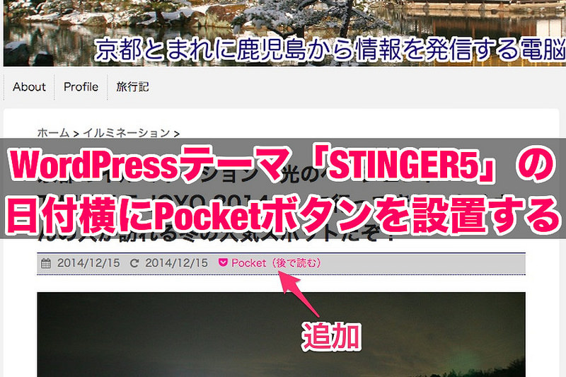 STINGER5の日付横にPocketボタンを設置(title)