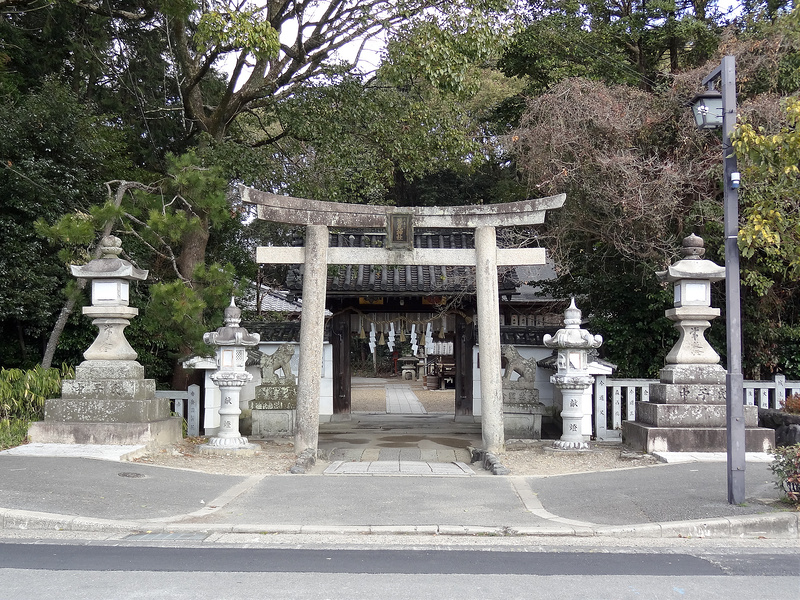 荒見神社(Arami-jinja Shrine) / 鳥居