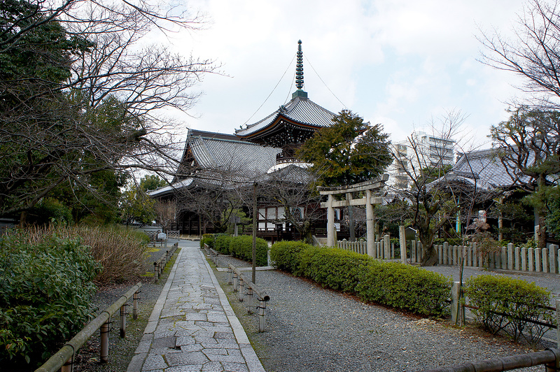 境内／本法寺(Honpo-ji Temple / Kyoto City)