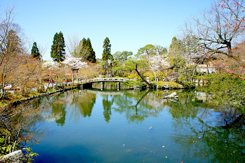 放生池／永観堂 禅林寺(Eikando, Zenrin-ji Temple / Kyoto City) 2015/04/02