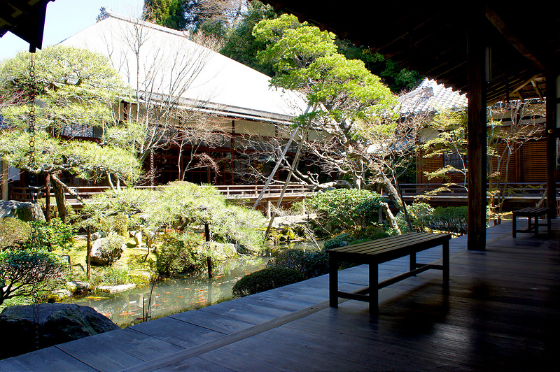 釈迦堂から見る庭と古方丈／永観堂 禅林寺(Eikando, Zenrin-ji Temple / Kyoto City) 2015/04/02