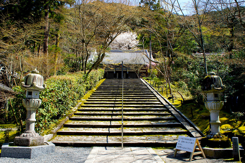 阿弥陀堂（本堂）／永観堂 禅林寺(Eikando, Zenrin-ji Temple / Kyoto City) 2015/04/02