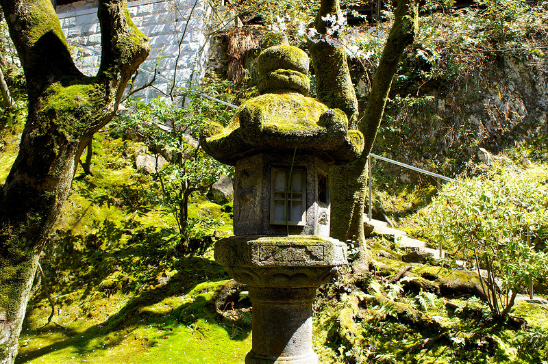 多宝塔へ向かう途中にある石灯籠／永観堂 禅林寺(Eikando, Zenrin-ji Temple / Kyoto City) 2015/04/02