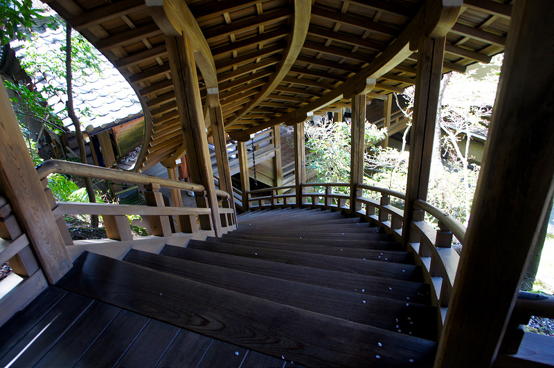 臥龍廊から見下ろした階段／永観堂 禅林寺(Eikando, Zenrin-ji Temple / Kyoto City) 2015/04/02