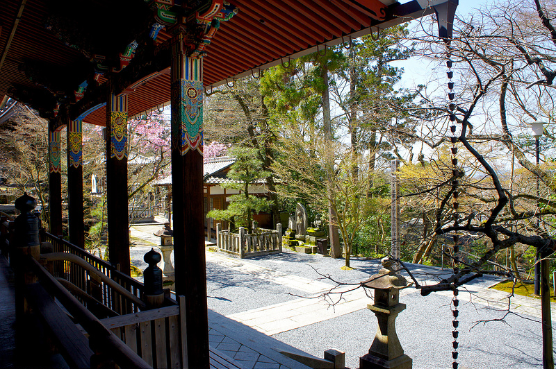 阿弥陀堂（本堂）からの景色／永観堂 禅林寺(Eikando, Zenrin-ji Temple / Kyoto City) 2015/04/02