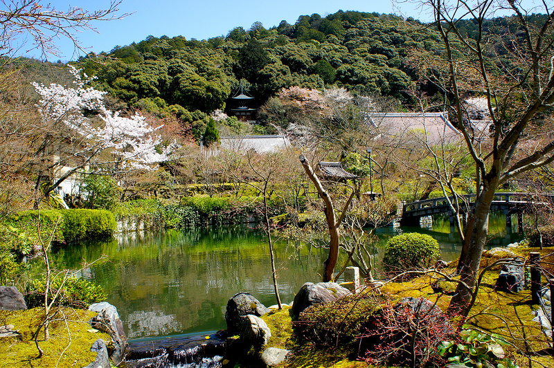 放生池から見る多宝塔／永観堂 禅林寺(Eikando, Zenrin-ji Temple / Kyoto City) 2015/04/02