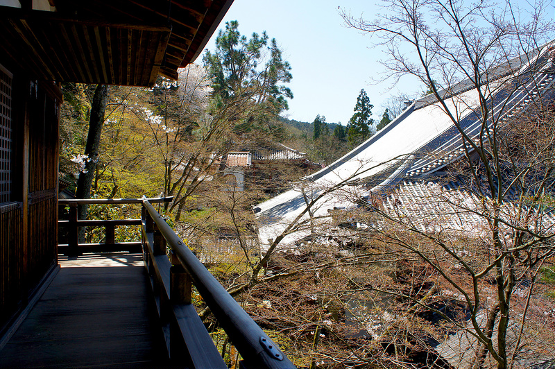 開山堂／永観堂 禅林寺(Eikando, Zenrin-ji Temple / Kyoto City) 2015/04/02