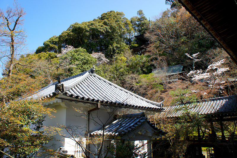 御影堂から見る多宝塔／永観堂 禅林寺(Eikando, Zenrin-ji Temple / Kyoto City) 2015/04/02