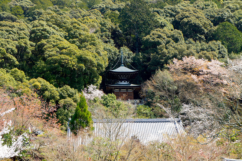 放生池から見る多宝塔／永観堂 禅林寺(Eikando, Zenrin-ji Temple / Kyoto City) 2015/04/02