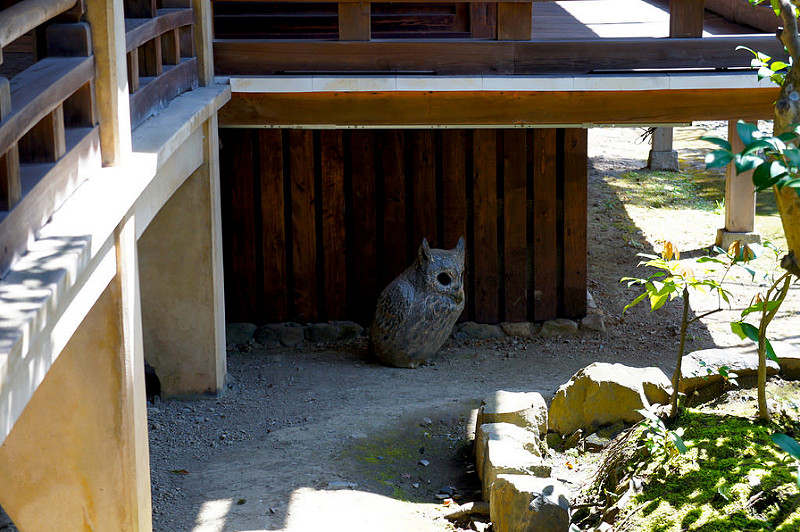 古方丈の廊下したにフクロウ／永観堂 禅林寺(Eikando, Zenrin-ji Temple / Kyoto City) 2015/04/02