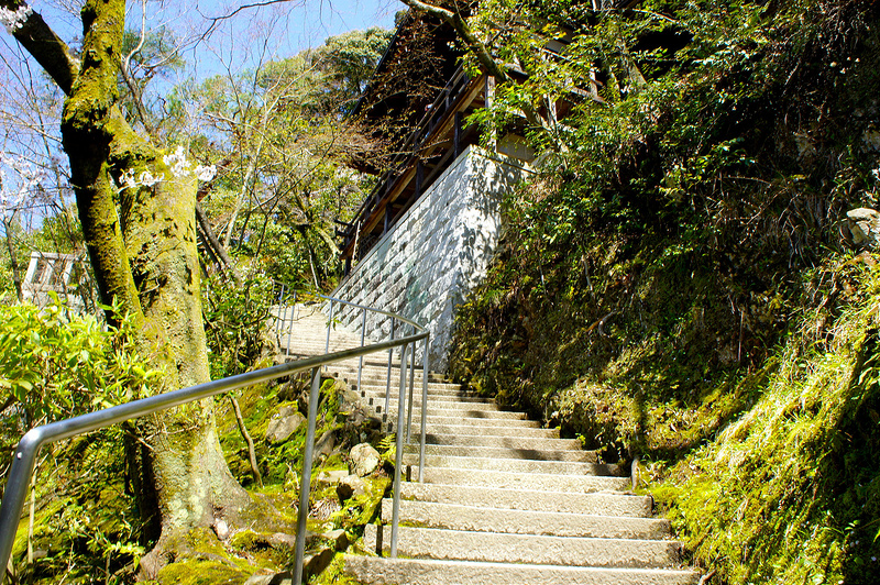 多宝塔へ向かう階段／永観堂 禅林寺(Eikando, Zenrin-ji Temple / Kyoto City) 2015/04/02