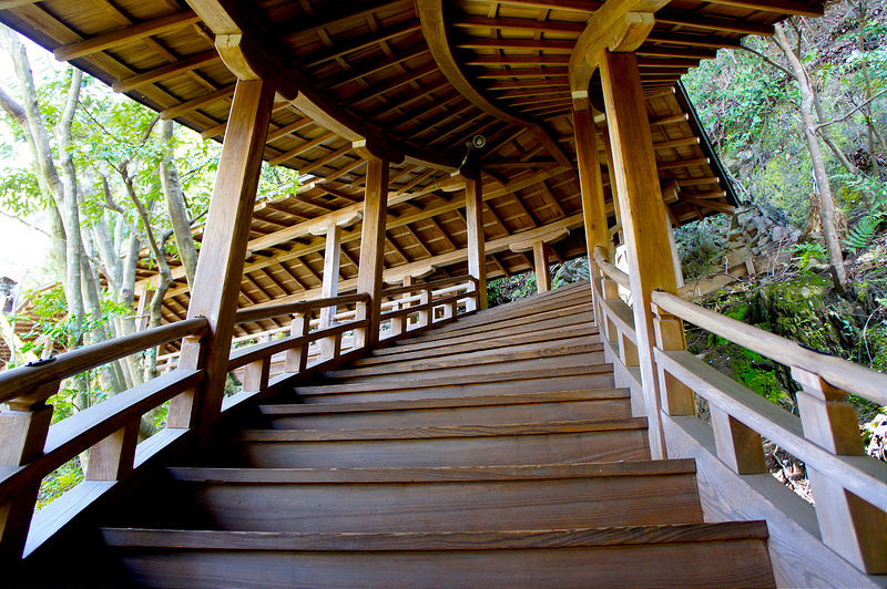 臥龍廊・開山堂へ向かう階段／永観堂 禅林寺(Eikando, Zenrin-ji Temple / Kyoto City) 2015/04/02