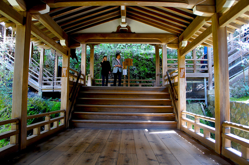 阿弥陀堂・開山堂へ向かう左右の階段／永観堂 禅林寺(Eikando, Zenrin-ji Temple / Kyoto City) 2015/04/02