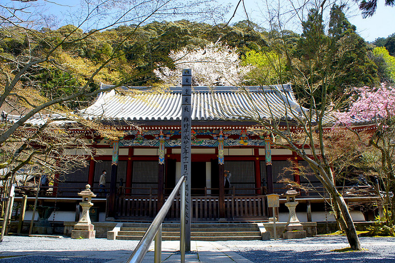 阿弥陀堂（本堂）／永観堂 禅林寺(Eikando, Zenrin-ji Temple / Kyoto City) 2015/04/02