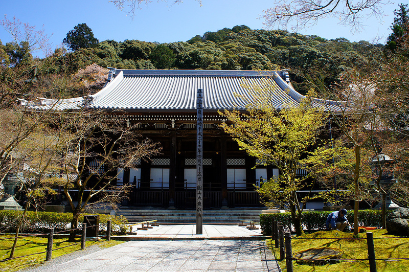 御影堂（大殿）／永観堂 禅林寺(Eikando, Zenrin-ji Temple / Kyoto City) 2015/04/02