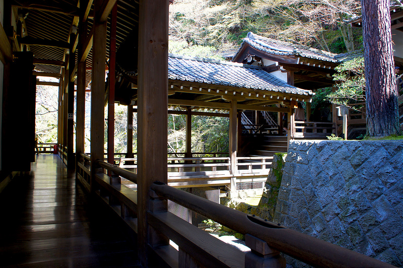 御影堂の裏／永観堂 禅林寺(Eikando, Zenrin-ji Temple / Kyoto City) 2015/04/02