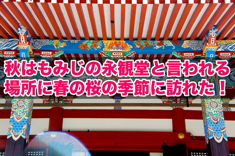 秋はもみじの永観堂と言われる場所に春の桜の季節に訪れた！