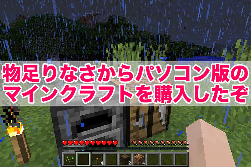 物足りなさからパソコン版のマインクラフトを購入したぞ