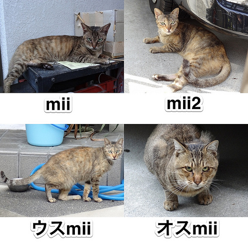 mii ４兄弟