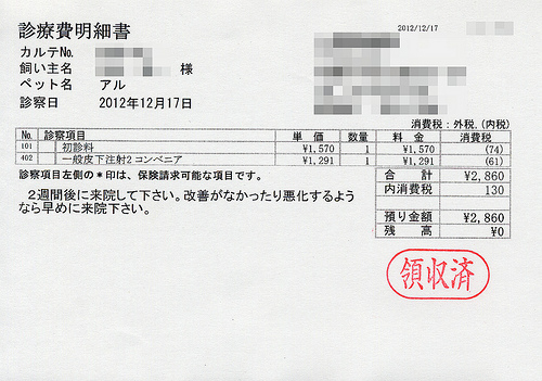 診療費明細書(2012/12/17)