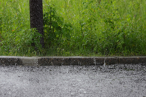 雨